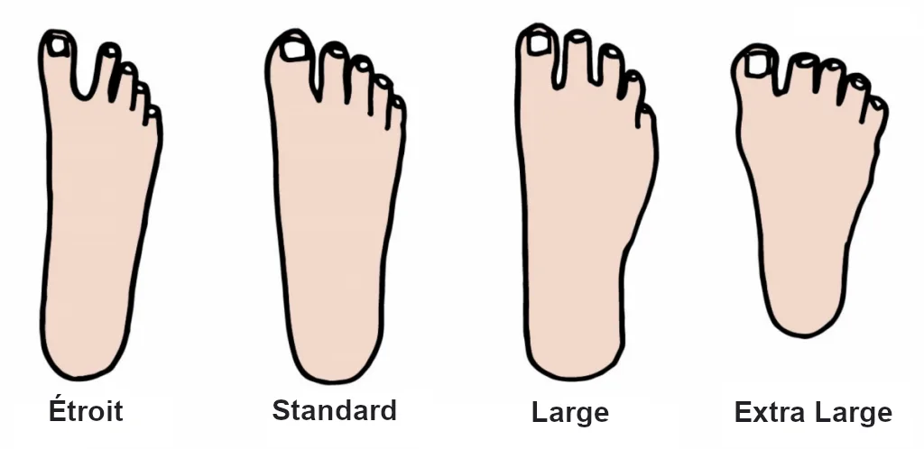 Morphologies des pieds en fonction de leur largeur.